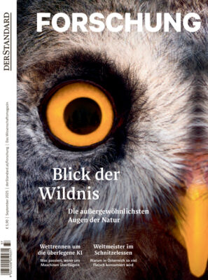 Forschung #12