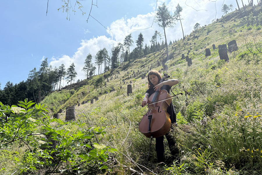 Die Wunden des Waldes auf der Bühne