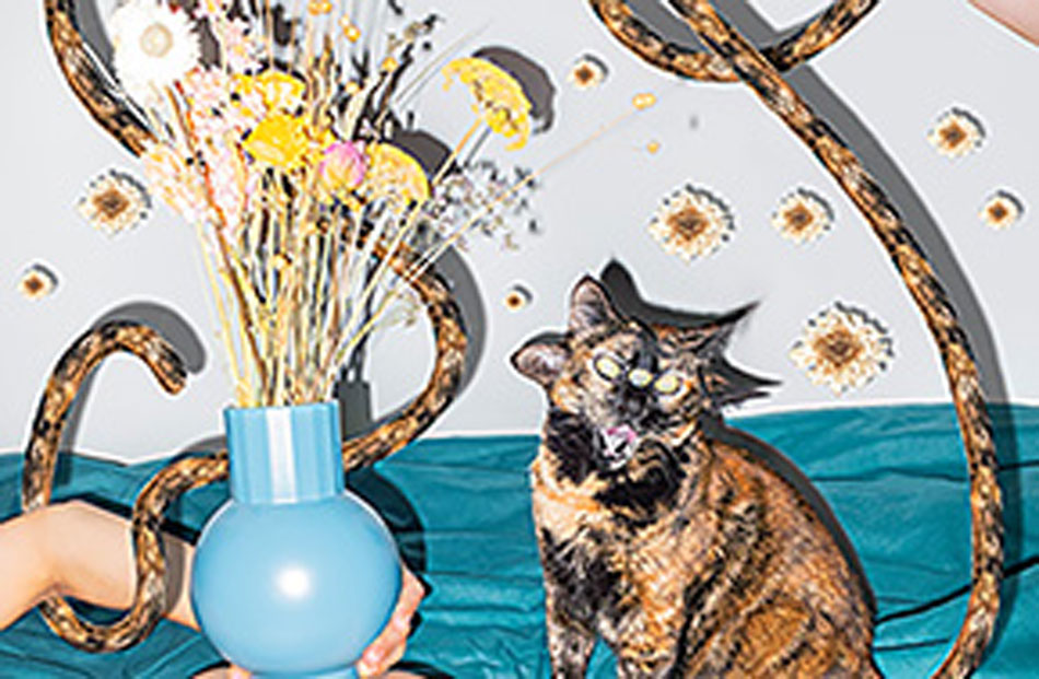 imagetanz Festival im brut Wien