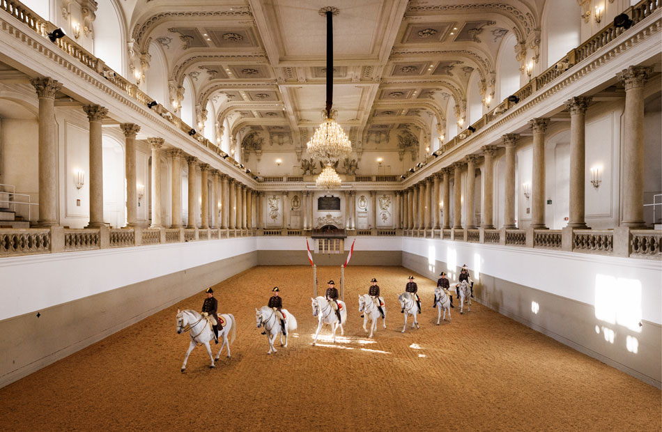 Das Ballett der wei&szlig;en Hengste